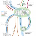 Opsloopfonds