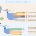 Voedselverspilling