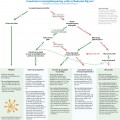 Energiebesparing wat past